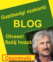 Gazdasgi szakrt blog